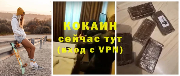 крисы Баксан