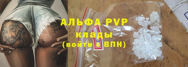 крисы Баксан