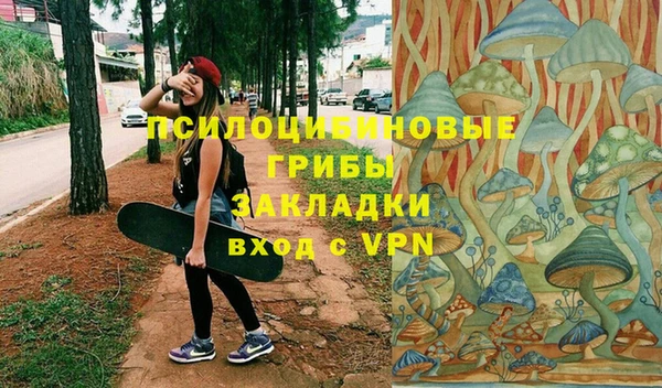 стаф Балахна
