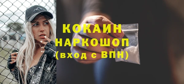 крисы Баксан