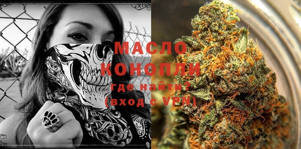 стаф Балахна